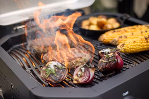 Grills