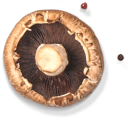 Mushroom